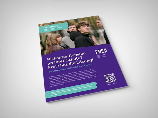 Bild des FreD-Factsheets für Schulen.