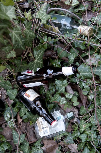 Leere Bier- und Schnapsflaschen in einem Gebüsch.